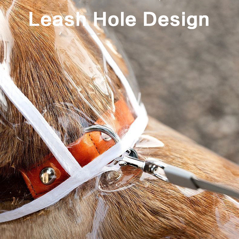 Waterproofy Raincoat